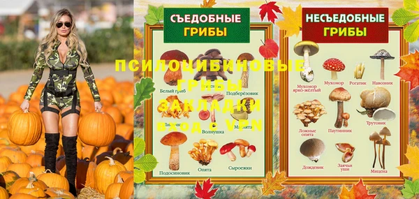 мдпв Новокубанск