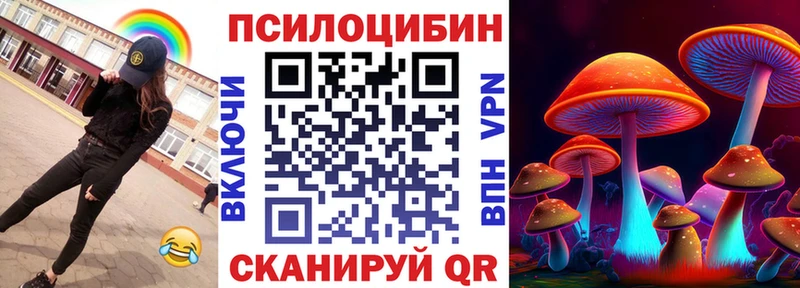 Купить где  Жуков  Псилоцибиновые грибы Psilocybine cubensis 
